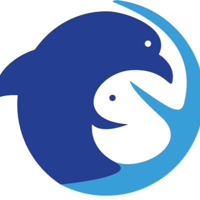 Palmerton Swim Team logo