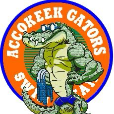 Accokeek Swim Team