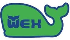 Wexford Leas Swim Team