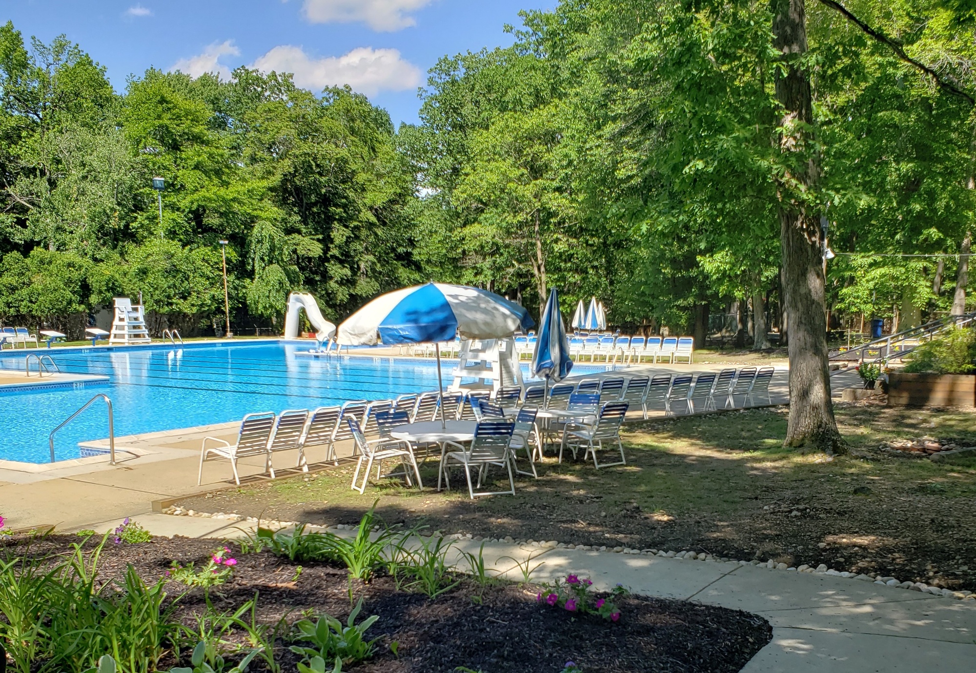 Willowdale Swim Club Home