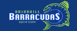Briarhill Swim Team