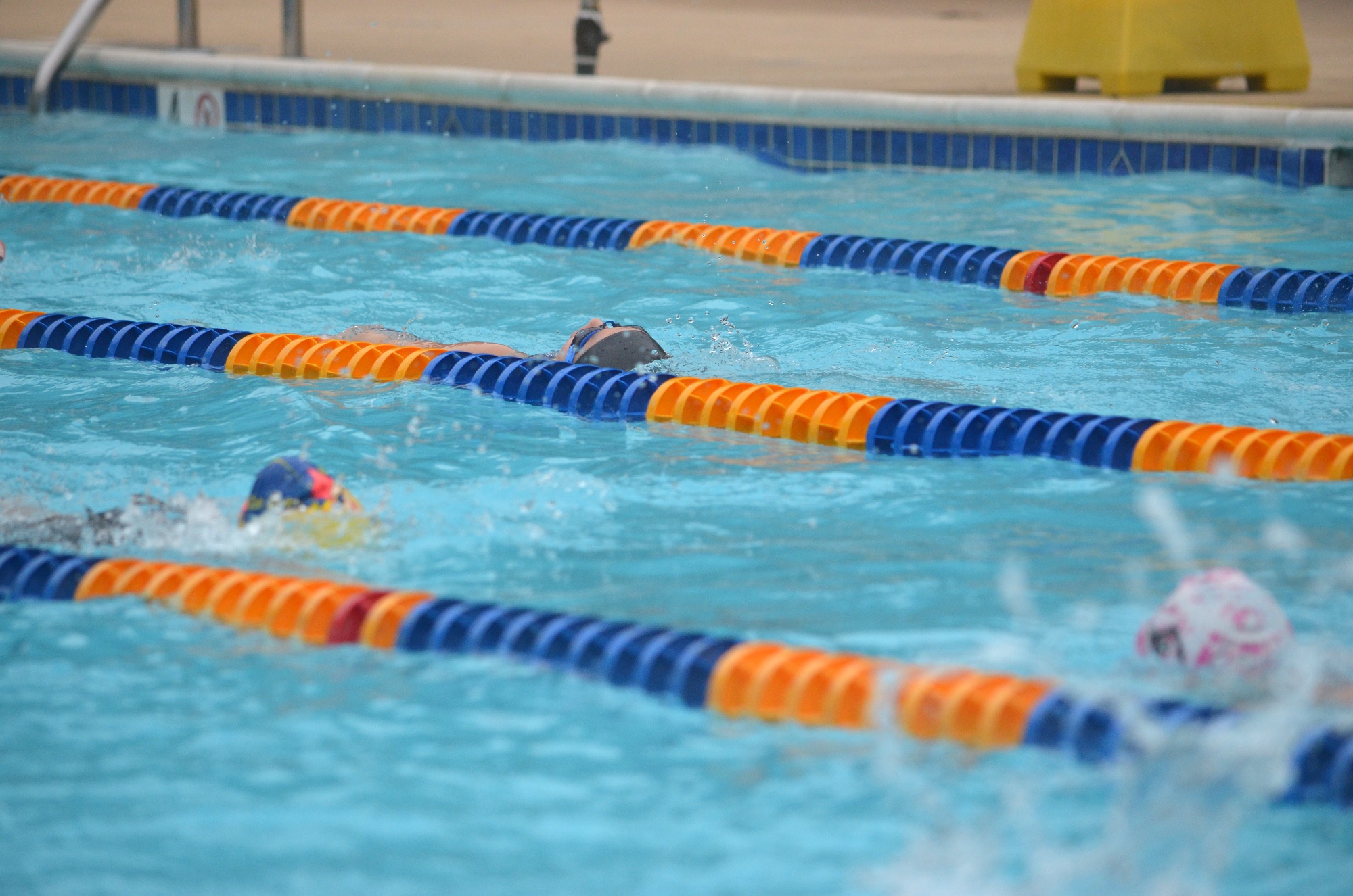 Westleigh Swim Team Home