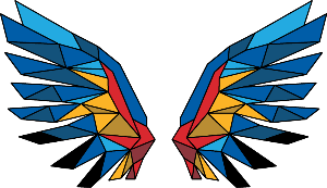 Indian Valley Swim Team