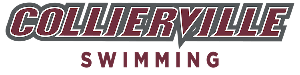 Collierville Dragons Swimming