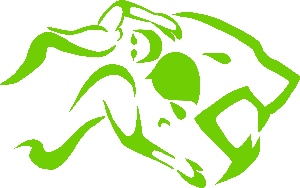 Waverly Woods Swim Team