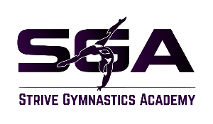 Strive Gymnastics Academy