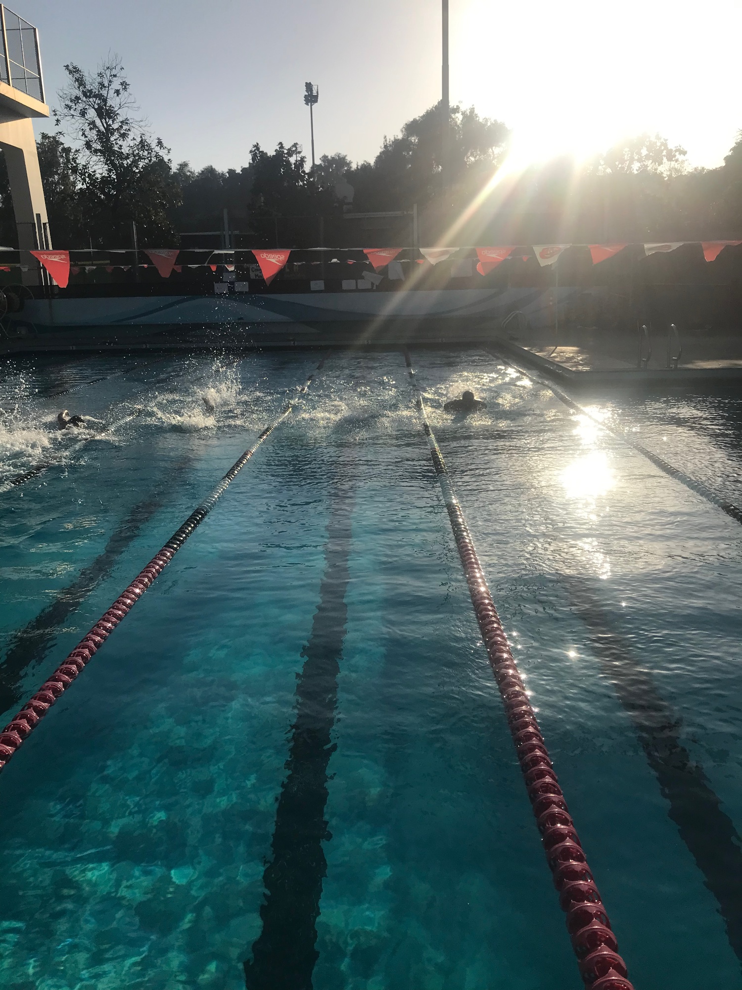 The Spartans of La Cañada Home