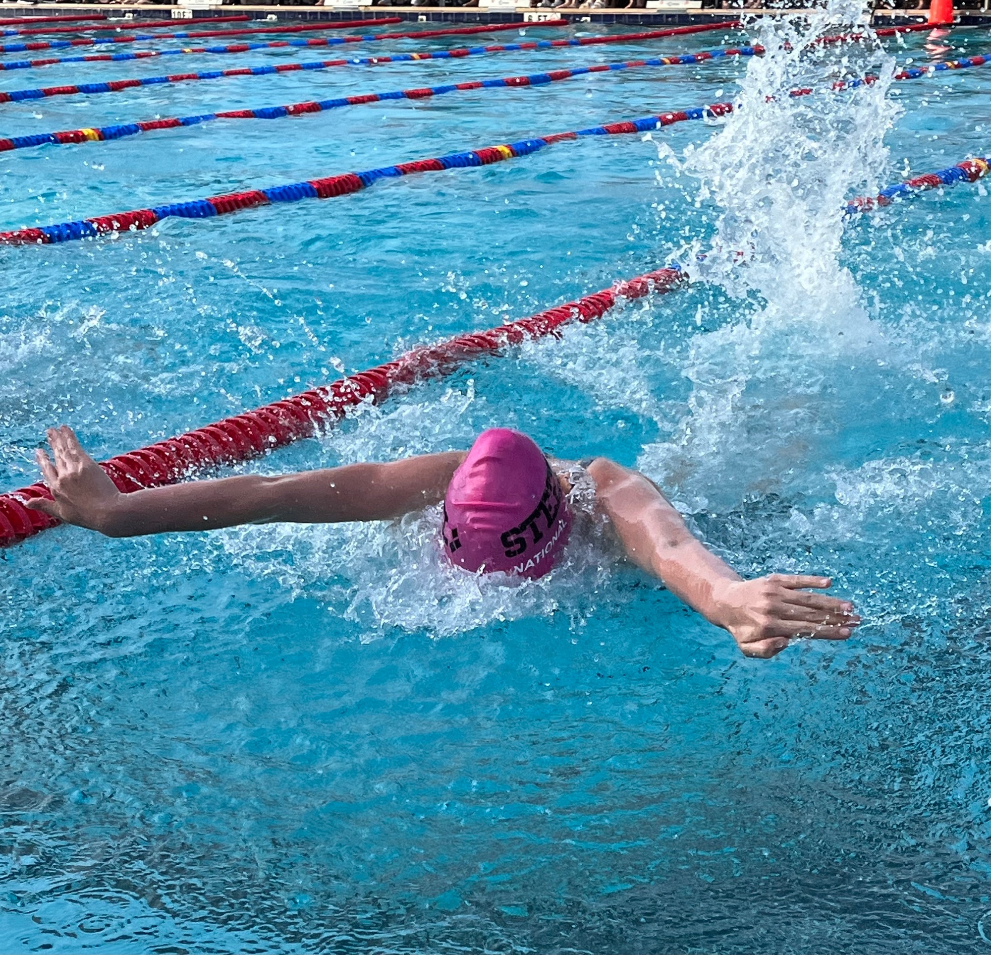 Steel City Aquatics Home