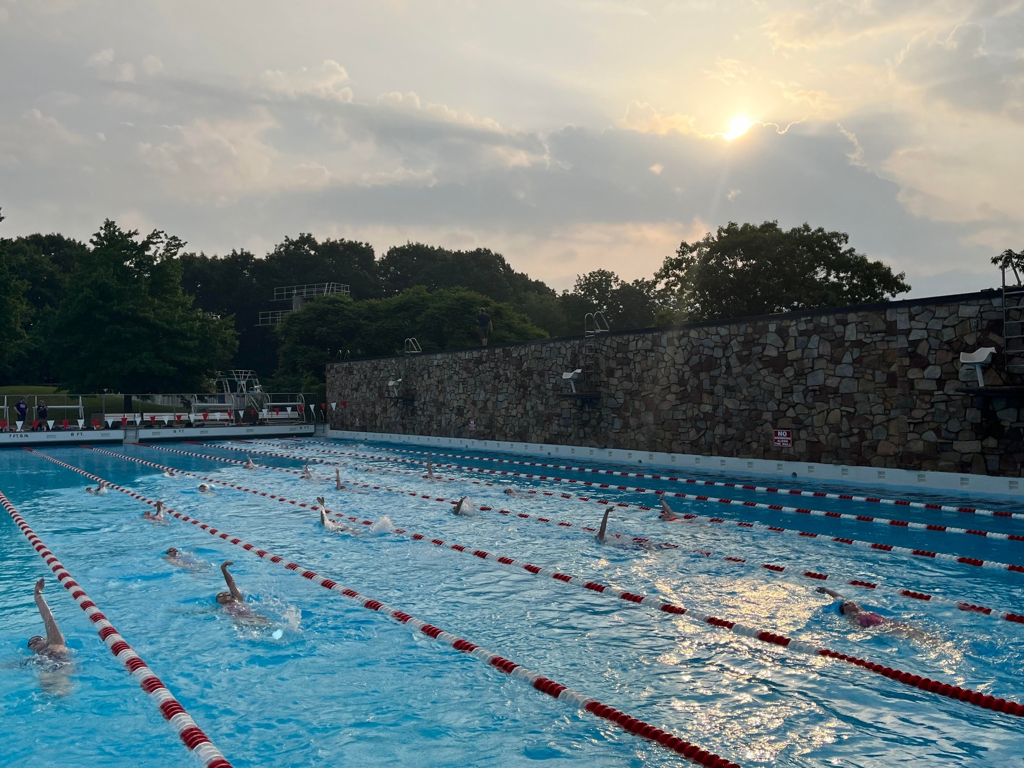 Steel City Aquatics Home