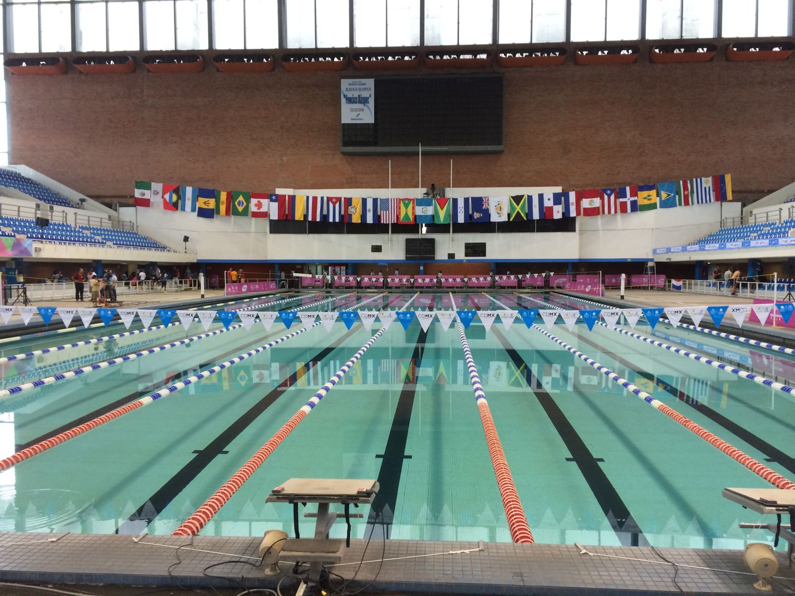 Displaying IMG_9795.jpeg