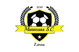 Manassas Youth Soccer