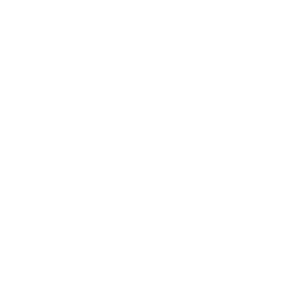 Dance Ambassadors