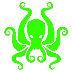 YMCA of Kanawha Valley Kraken Swim Team